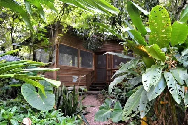 Iguana Roost - A Tourism Gold Standard Approved Equipped two Bedroom Cabin - Dış Mekan