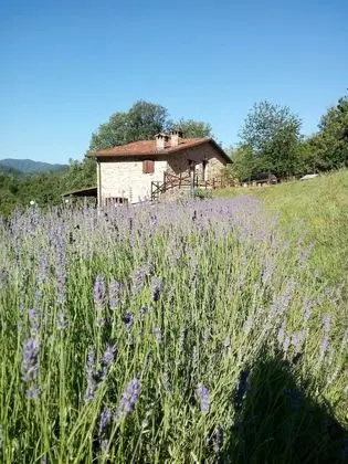 Il Casale del Ben-Essere - 1