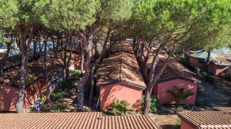 Il Gabbiano Camping Village - Genel