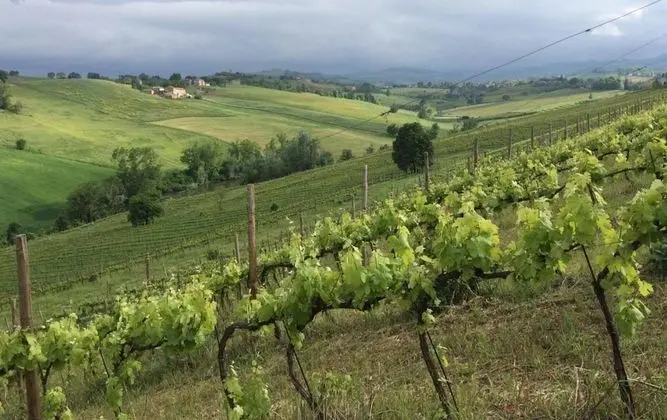 Il Giardino B&B - Dış Mekan
