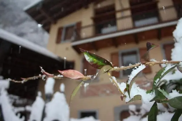 Il Giardino degli Elfi - Yerinde Yemek