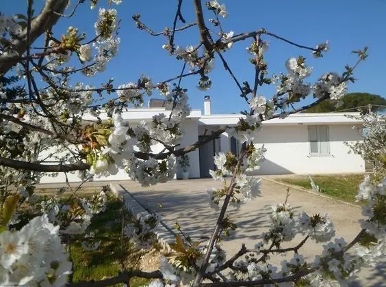 Il Giardino Dei Ciliegi