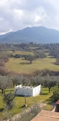 Il Girasole - 1