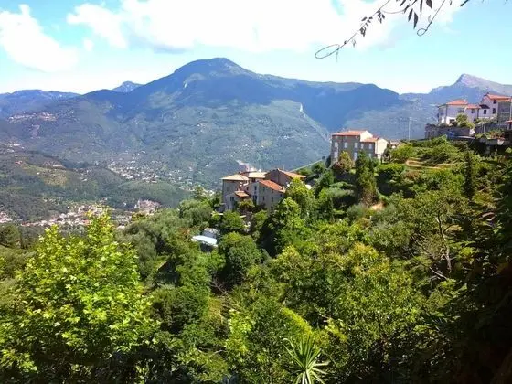 Il Mandarino Pedona in Pedona