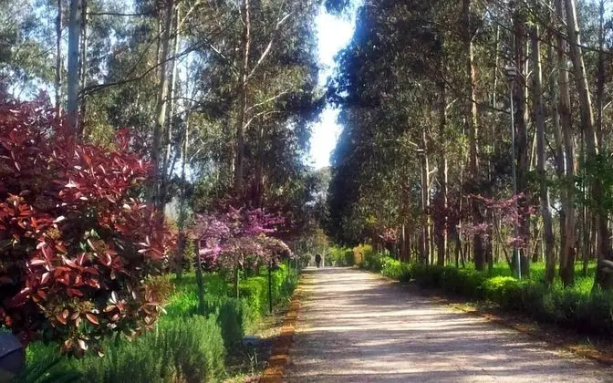 Il Nibbio Reale Country House - Dış Mekan