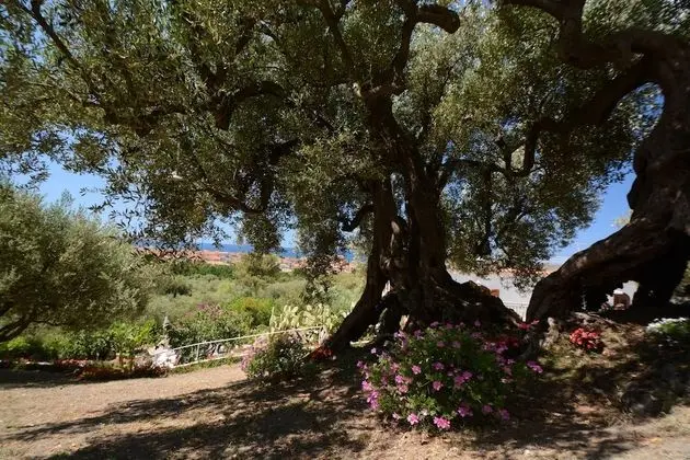 Il Paradiso di Hyele - Dış Mekan