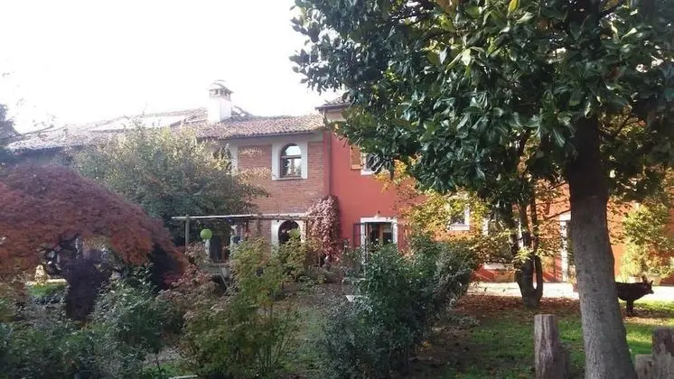 Il Pettirosso
