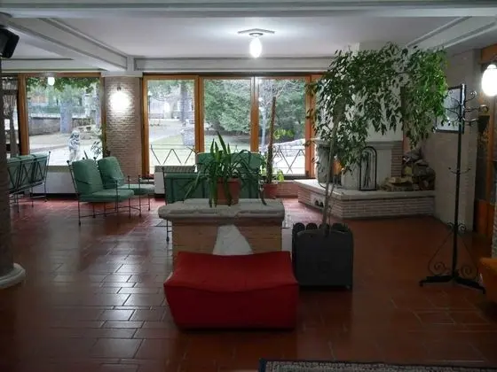 Hotel Il Picchio - Lobi