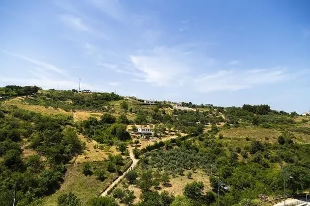 Il Pieddo