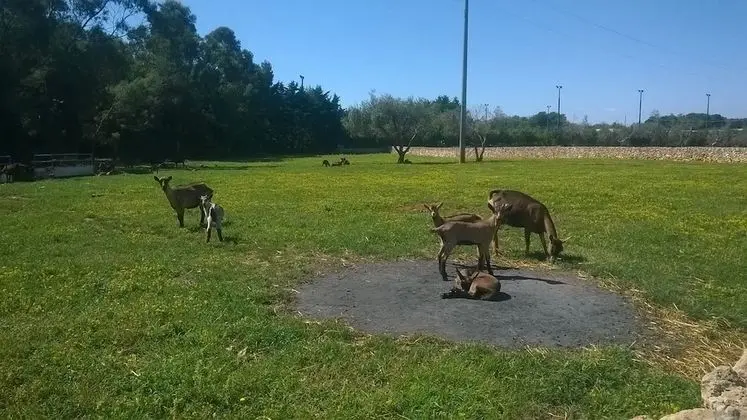 Il Venticello Agriturismo - Dış Mekan