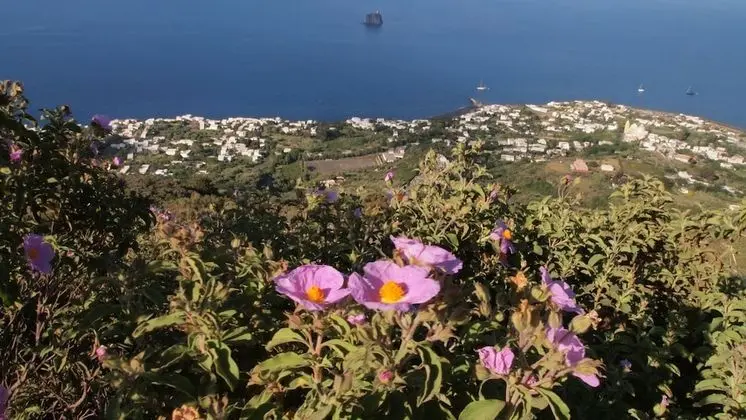Il Vulcano a Piedi Rooms