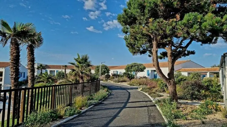 Ile de Lumiere - Dış Mekan