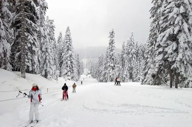 Ilgaz Mountain Hotel & Resort - Kayak ve Snowboarding