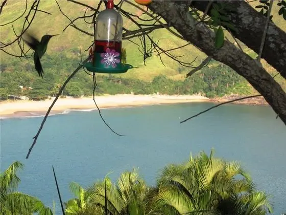 Ilha de Toque Toque Boutique - Genel