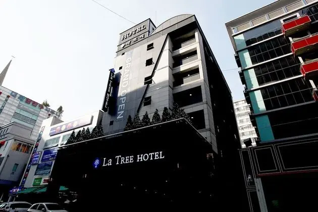 Ilsan La Tree