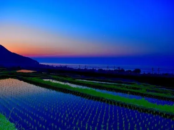 Imazu Sun Bridge Hotel - Havuz