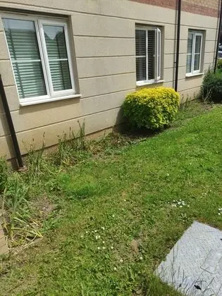Immaculate 1-bed Apartment in Borehamwood - Dış Mekan