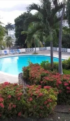 Immaculate 1-bed Villa in Ocho Rios - Havuz
