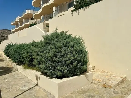 Immaculate 2-bed Apartment in Makrygialos - Dış Mekan