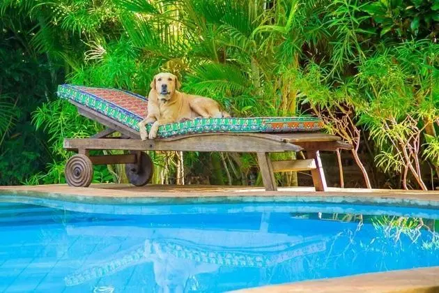 Immaculate, Stunning 3-bed Cottage in Diani Beach - Havuz