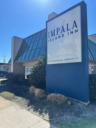 Impala Island Inn - Öne Çıkan Resim