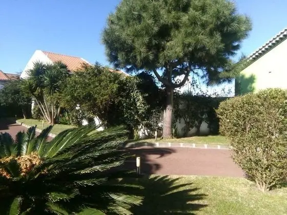 Impeccable 1 Bed Villa in Ribeira Grande - Dış Mekan