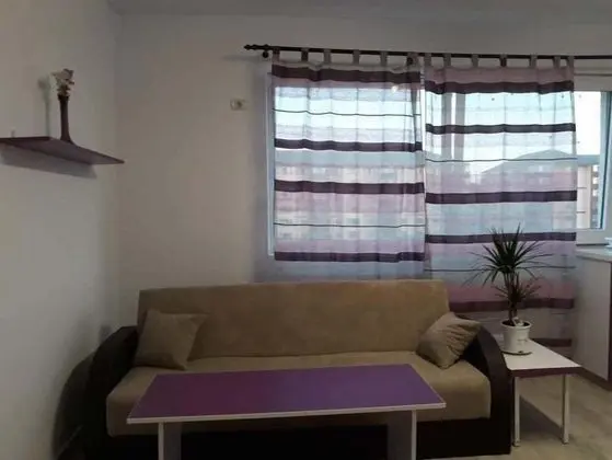 Impeccable 1-bed Studio in Roșu - Oda Düzeni