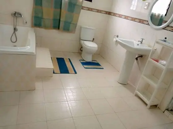 Impeccable 2-bed Apartment in Kumasi Ashanti - Banyo Tipleri