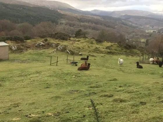 Impeccable 2-bed Cottage Near Betws y Coed - Dış Mekan