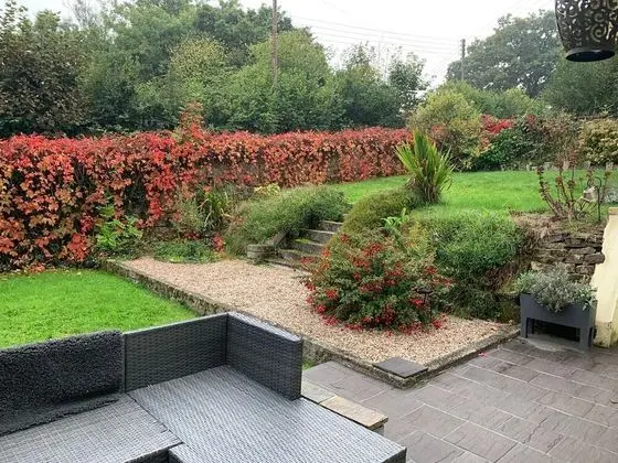 Impeccable 3-bed Bungalow Near Launceston - Dış Mekan