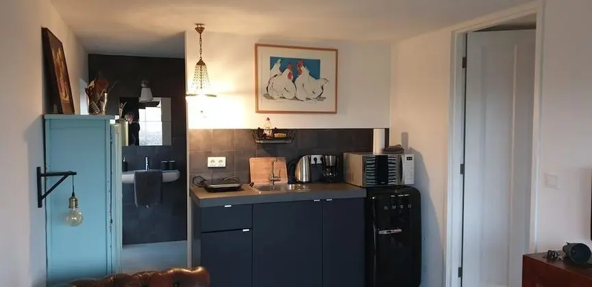 Impeccable Studio in Ouddorp 400m From th