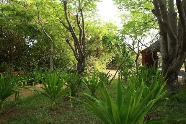 Indeco Mahabalipuram - Dış Mekan