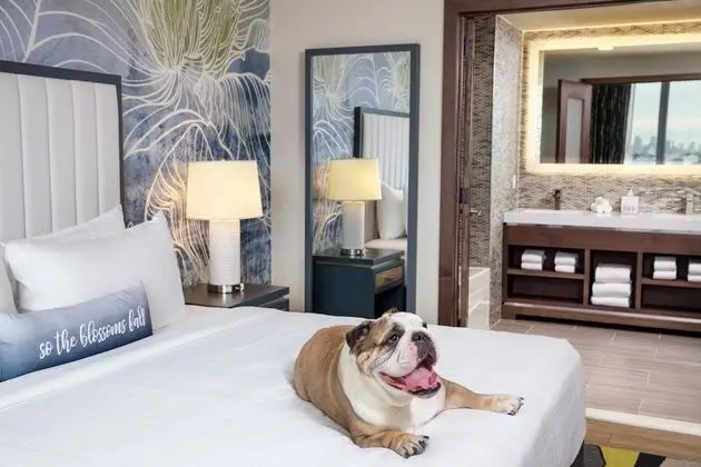 Hotel Indigo Flushing, an IHG Hotel - Oda