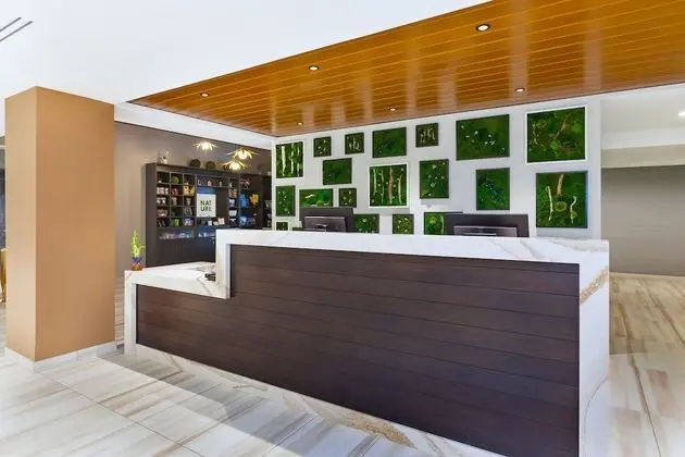 Hotel Indigo Rochester – Mayo Clinic Area, an IHG Hotel
