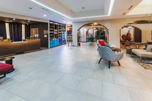 Hotel Indigo Spring - Woodlands Area, an IHG Hotel - Lobi