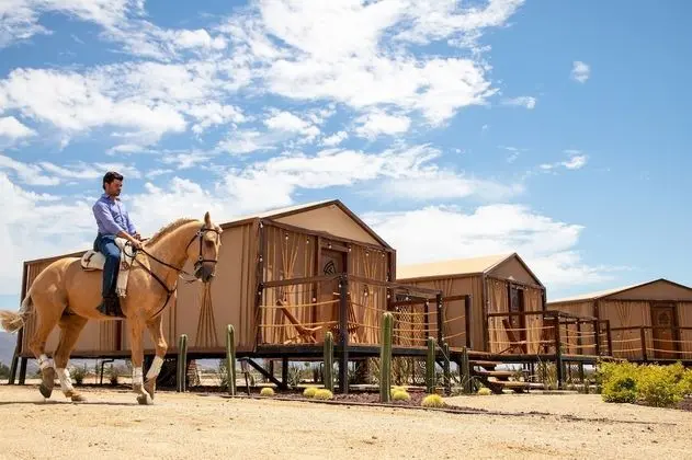 Indómito Glamping Resort - Dış Mekan