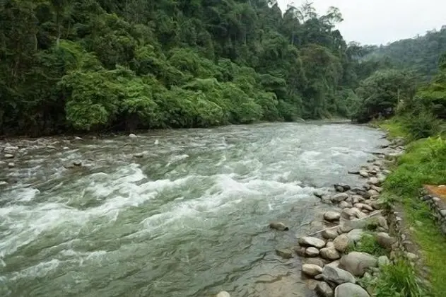 Indra Valley Inn Bukit Lawang