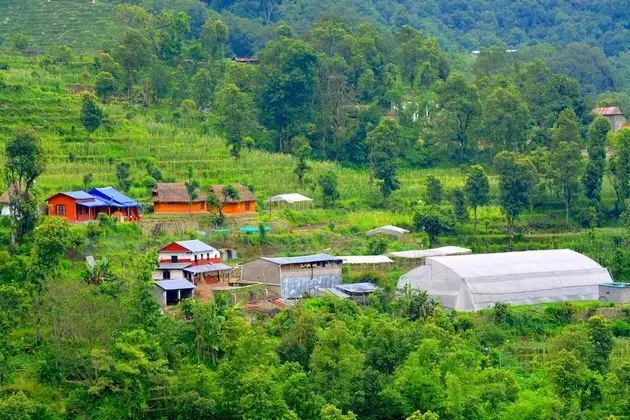 Indreni organic farm and homestay