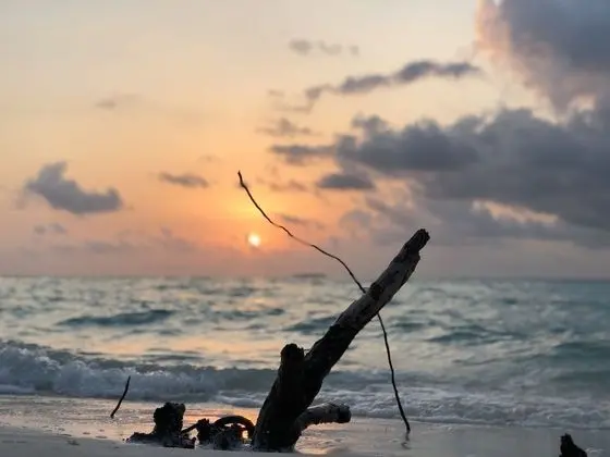 Infinity Dhiffushi - Plaj