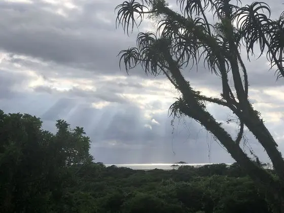 Ingwenya Lodge