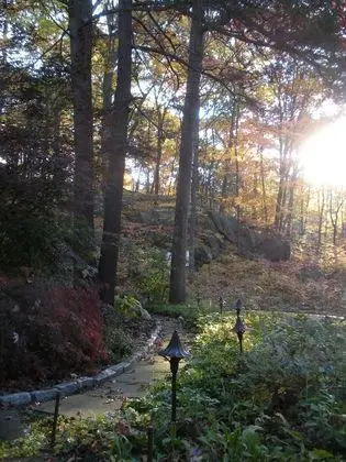 Inn the Woods B&B - Dış Mekan