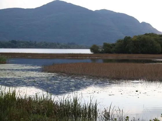 Innisfallen Holiday Village - İç Mekan