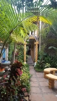 Hotel Internacional Guest House - İç Mekan