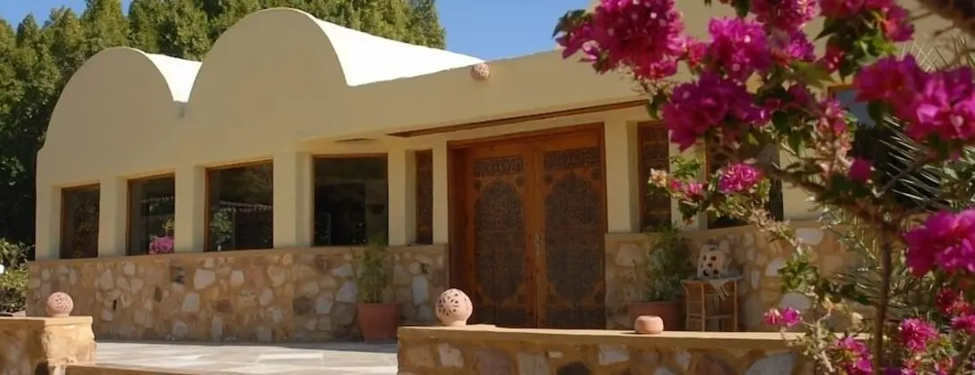 International Hot Spring Hotel - Dış Mekan