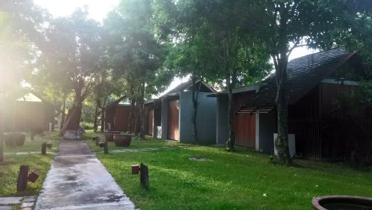 Into the Forest Resort