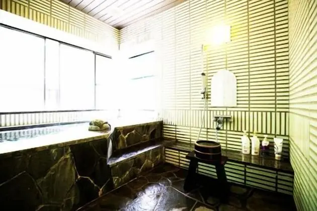Inunakisan Grand Hotel Kisenkaku - Banyo Tipleri