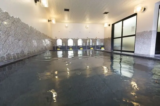 Inuyama International Youth Hostel - Havuz