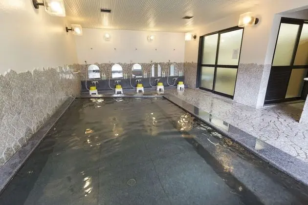 Inuyama International Youth Hostel - Spa