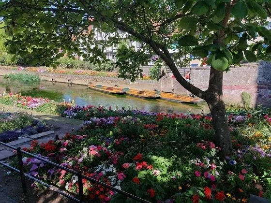 Inviting 1-bed Apartment in Herne Bay - Dış Mekan