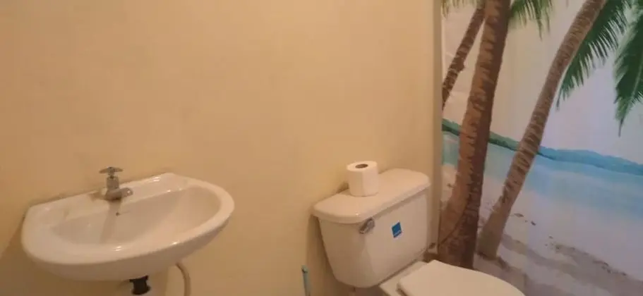 Inviting 1-bed Cottage in Ewarton - Banyo Tipleri
